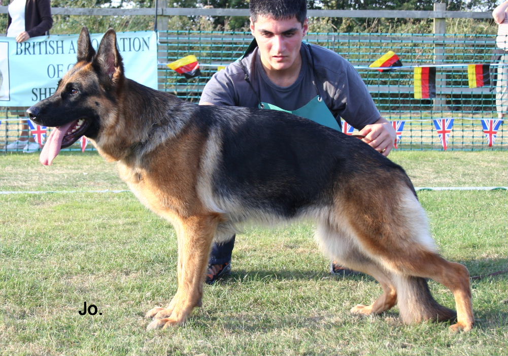 Dani vom Dänischen Hof