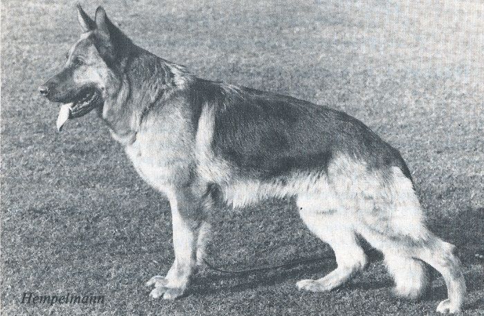 Gero vom Reststrauch