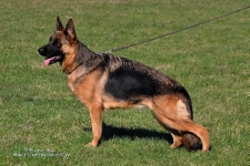 Carmen von der Familien Schäfer