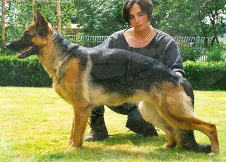 Jamina vom Ecknachtal