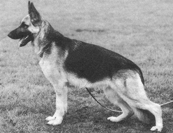 Gitte vom Laacher-Haus