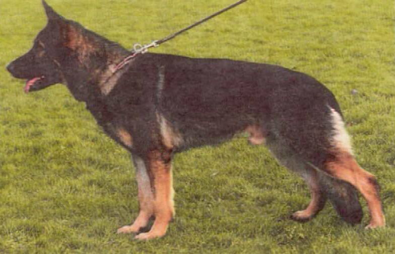 Andy von der Bildsäule