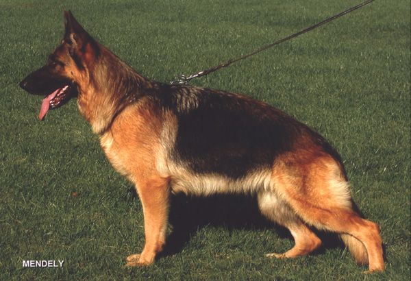 Kamilla vom Römerland