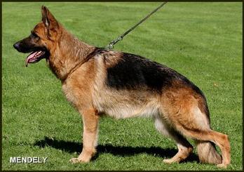 Nena von der Kirchheck