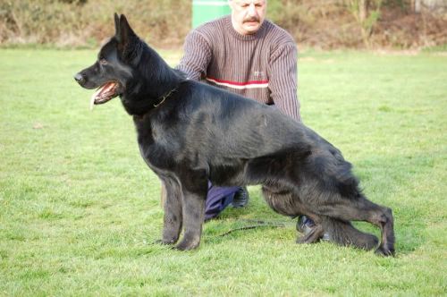 Nolan vom alten Wingertshaus