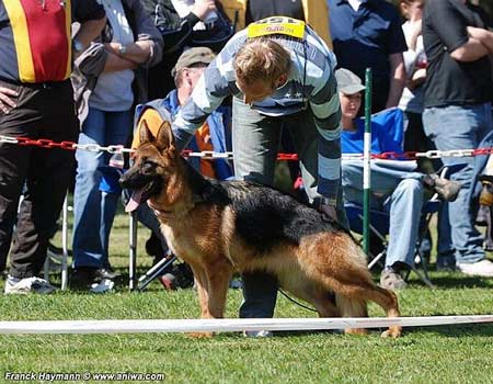 Gwendy aus Agrigento