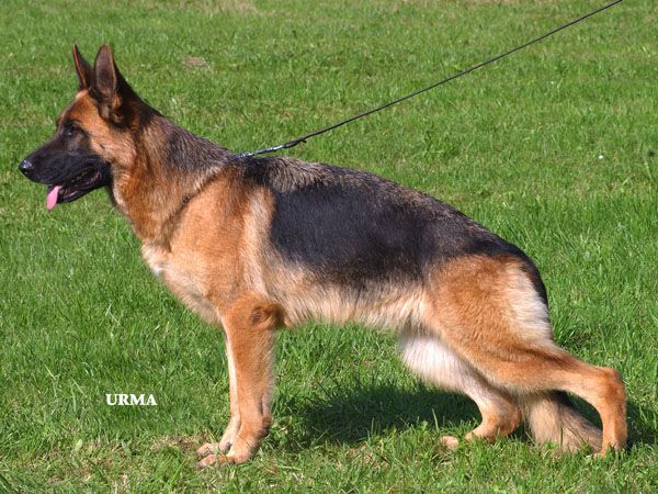 Gwendy von der Vallendarer Höhe