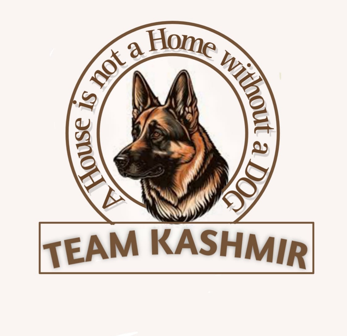 Team Kashmir