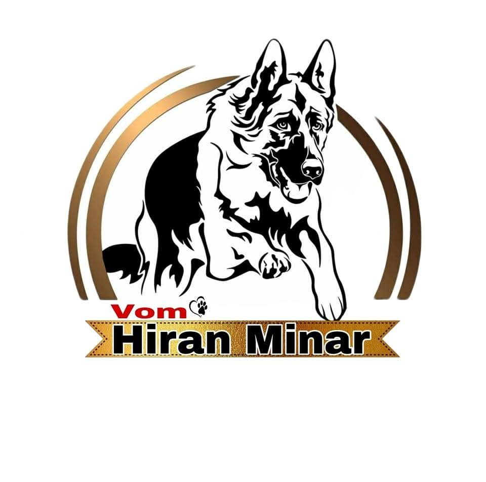 Hiran Minar