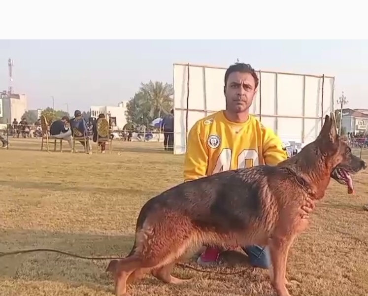 Waqas Qadeer