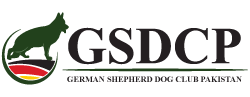 GSDCP